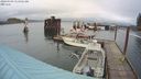 ./images/quadra/hbidock/20240309/hbidock20240309_115001M.jpg