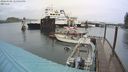 ./images/quadra/hbidock/20240309/hbidock20240309_125001M.jpg