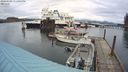 ./images/quadra/hbidock/20240309/hbidock20240309_151001M.jpg