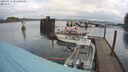 ./images/quadra/hbidock/20240310/hbidock20240310_101501M.jpg