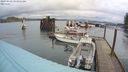 ./images/quadra/hbidock/20240310/hbidock20240310_103001M.jpg
