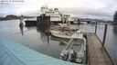 ./images/quadra/hbidock/20240310/hbidock20240310_105001M.jpg