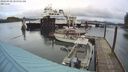 ./images/quadra/hbidock/20240310/hbidock20240310_105501M.jpg