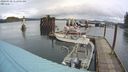 ./images/quadra/hbidock/20240310/hbidock20240310_112001M.jpg