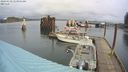 ./images/quadra/hbidock/20240310/hbidock20240310_113502M.jpg