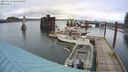 ./images/quadra/hbidock/20240310/hbidock20240310_140501M.jpg
