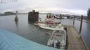 ./images/quadra/hbidock/20240310/hbidock20240310_141001M.jpg
