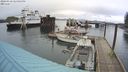 ./images/quadra/hbidock/20240310/hbidock20240310_144001M.jpg