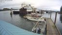 ./images/quadra/hbidock/20240310/hbidock20240310_145501M.jpg