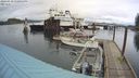 ./images/quadra/hbidock/20240310/hbidock20240310_150001M.jpg