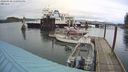 ./images/quadra/hbidock/20240310/hbidock20240310_150501M.jpg