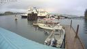 ./images/quadra/hbidock/20240310/hbidock20240310_171501M.jpg