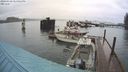 ./images/quadra/hbidock/20240310/hbidock20240310_174501M.jpg