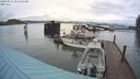 ./images/quadra/hbidock/20240311/hbidock20240311_081501M.jpg