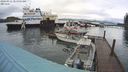 ./images/quadra/hbidock/20240311/hbidock20240311_084002M.jpg