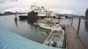 ./images/quadra/hbidock/20240311/hbidock20240311_105001M.jpg