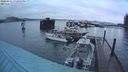 ./images/quadra/hbidock/20240311/hbidock20240311_192002M.jpg