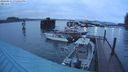./images/quadra/hbidock/20240311/hbidock20240311_192501M.jpg
