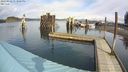 ./images/quadra/hbidock/20240312/hbidock20240312_133501M.jpg