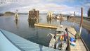 ./images/quadra/hbidock/20240312/hbidock20240312_142501M.jpg