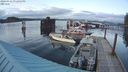 ./images/quadra/hbidock/20240312/hbidock20240312_191501M.jpg