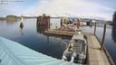 ./images/quadra/hbidock/20240313/hbidock20240313_111501M.jpg