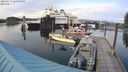 ./images/quadra/hbidock/20240313/hbidock20240313_185001M.jpg