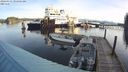 ./images/quadra/hbidock/20240314/hbidock20240314_091501M.jpg