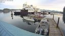 ./images/quadra/hbidock/20240315/hbidock20240315_091001M.jpg