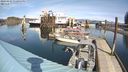 ./images/quadra/hbidock/20240315/hbidock20240315_132501M.jpg