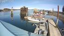 ./images/quadra/hbidock/20240315/hbidock20240315_142501M.jpg
