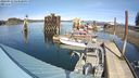 ./images/quadra/hbidock/20240315/hbidock20240315_143501M.jpg