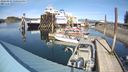 ./images/quadra/hbidock/20240315/hbidock20240315_150501M.jpg
