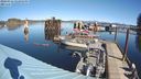 ./images/quadra/hbidock/20240316/hbidock20240316_122001M.jpg