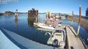 ./images/quadra/hbidock/20240316/hbidock20240316_152501M.jpg