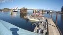 ./images/quadra/hbidock/20240317/hbidock20240317_131001M.jpg