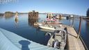 ./images/quadra/hbidock/20240317/hbidock20240317_132502M.jpg