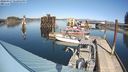 ./images/quadra/hbidock/20240317/hbidock20240317_142501M.jpg