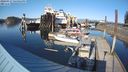 ./images/quadra/hbidock/20240317/hbidock20240317_164502M.jpg