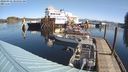 ./images/quadra/hbidock/20240318/hbidock20240318_105501M.jpg