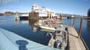 ./images/quadra/hbidock/20240318/hbidock20240318_131502M.jpg