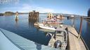 ./images/quadra/hbidock/20240318/hbidock20240318_141501M.jpg