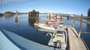 ./images/quadra/hbidock/20240318/hbidock20240318_152002M.jpg