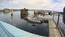 ./images/quadra/hbidock/20240319/hbidock20240319_101002M.jpg