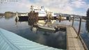 ./images/quadra/hbidock/20240319/hbidock20240319_105501M.jpg