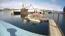 ./images/quadra/hbidock/20240319/hbidock20240319_125501M.jpg