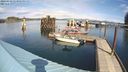 ./images/quadra/hbidock/20240319/hbidock20240319_133502M.jpg