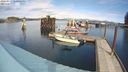 ./images/quadra/hbidock/20240319/hbidock20240319_140502M.jpg