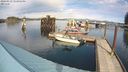 ./images/quadra/hbidock/20240319/hbidock20240319_142502M.jpg