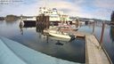 ./images/quadra/hbidock/20240319/hbidock20240319_144001M.jpg